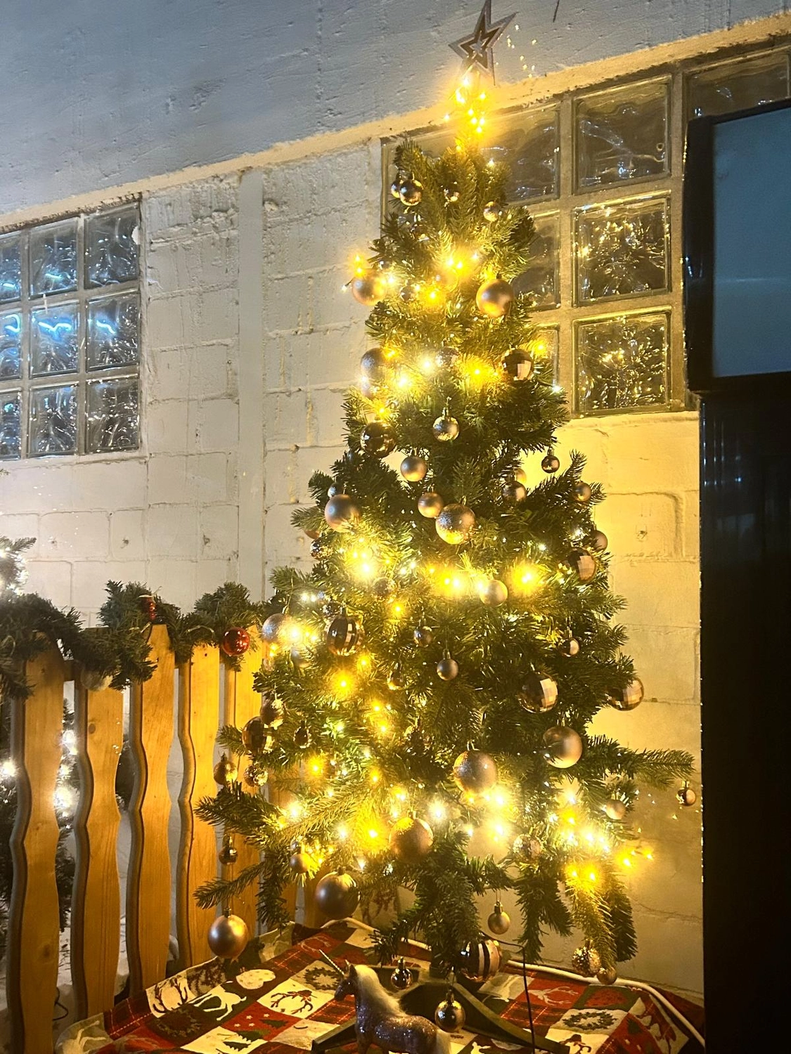 Reitsportzentrum Lichtenholz e. V. – Christmas tournament