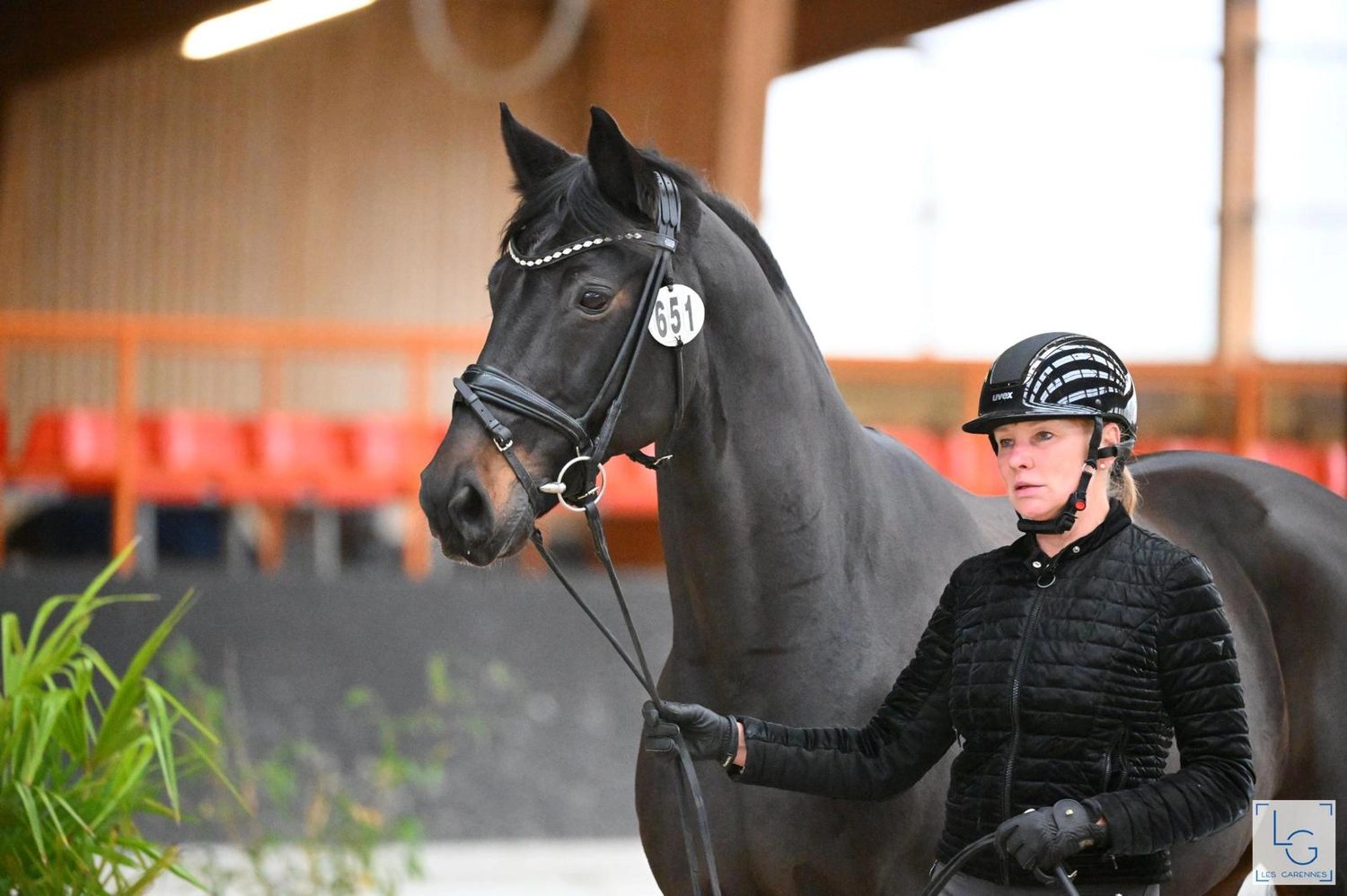 Reitsportzentrum Lichtenholz e. V. – Cornelia Dyhr