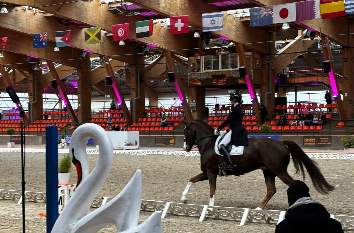 Reitsportzentrum Lichtenholz e. V. – Cornelia Dyhr