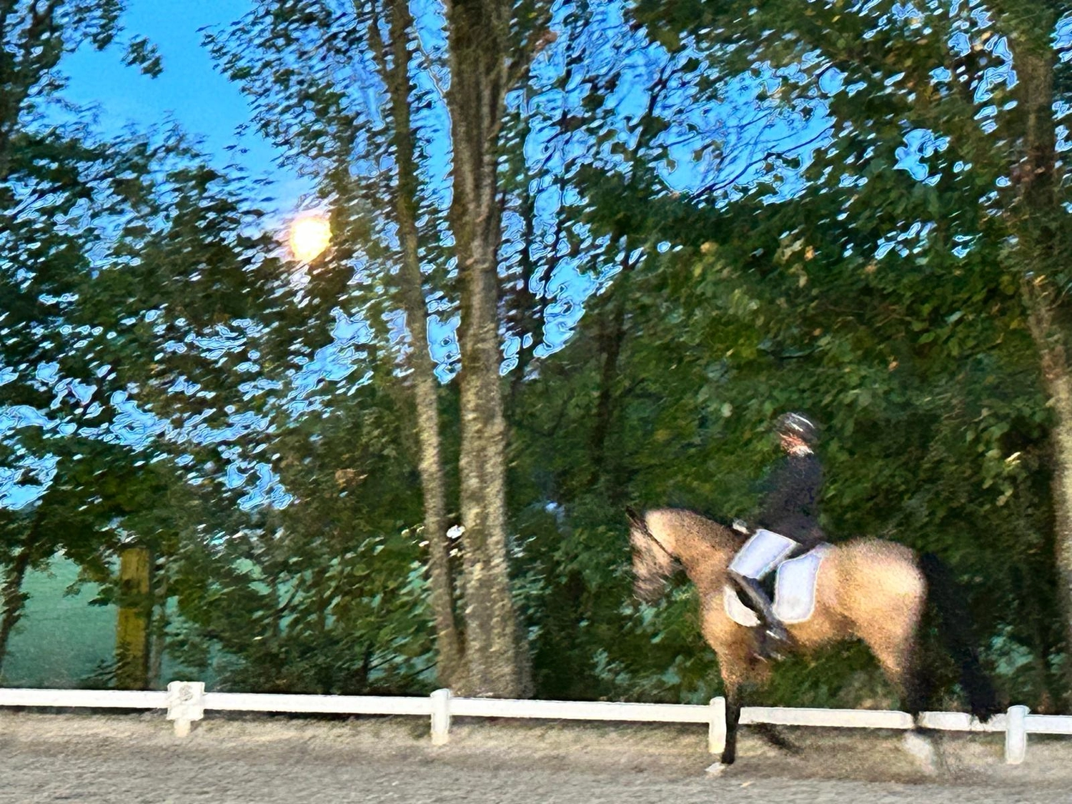 Reitsportzentrum Lichtenholz e. V. – Evening tournament