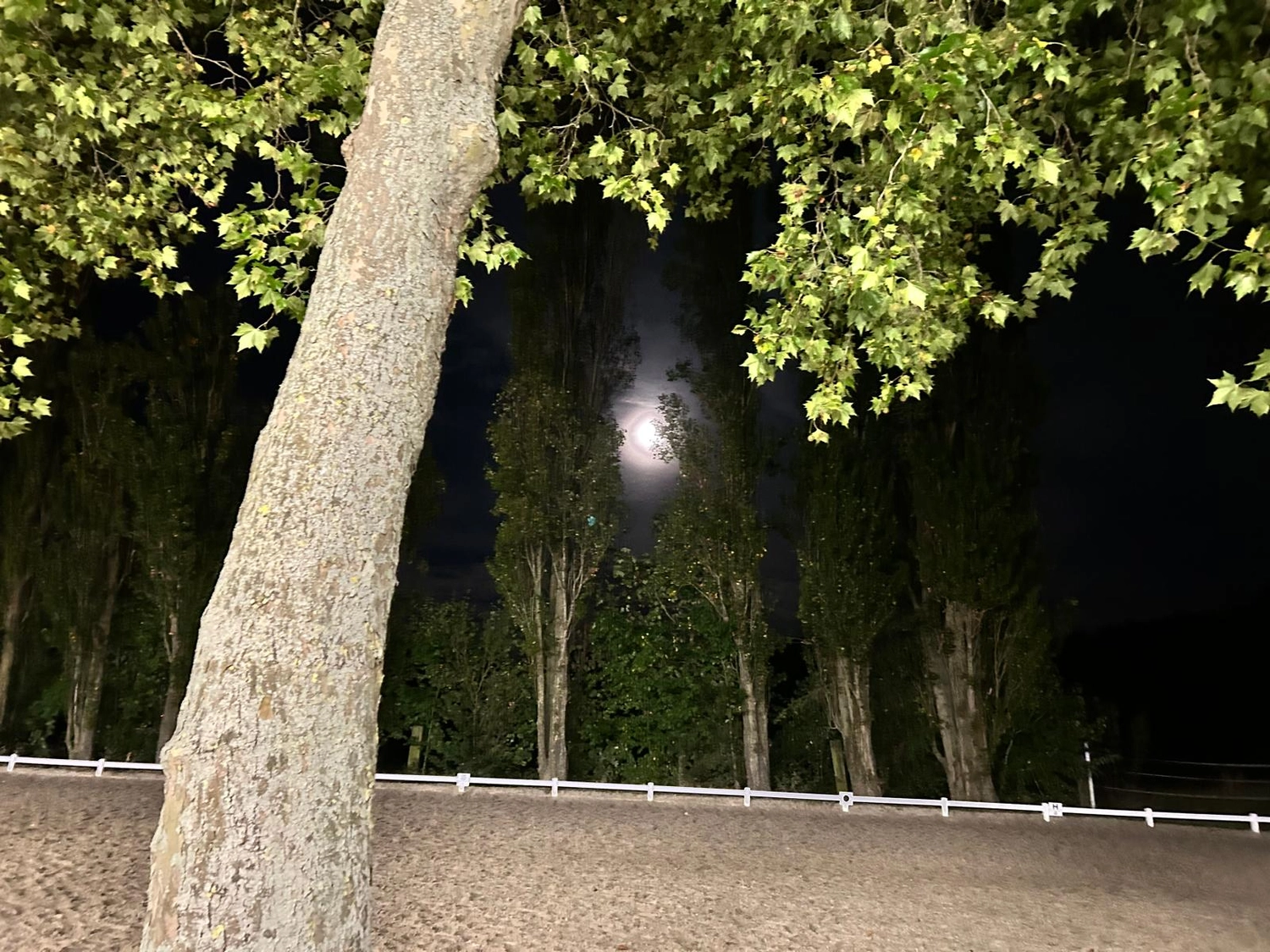 Reitsportzentrum Lichtenholz e. V. – Evening tournament