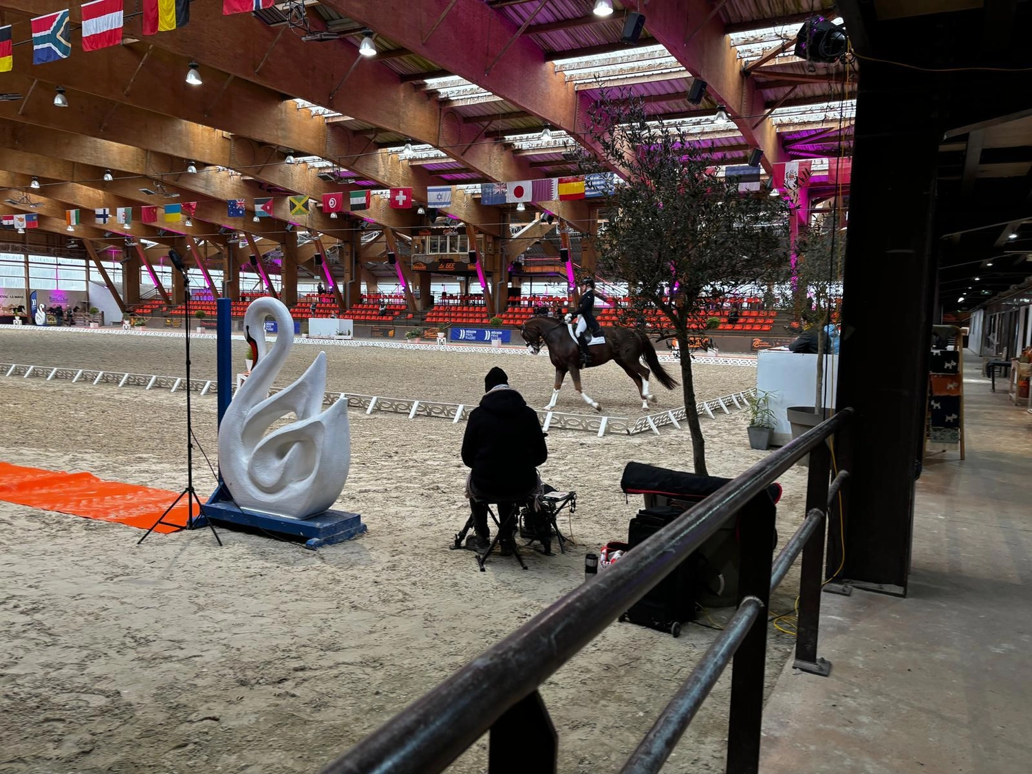 Reitsportzentrum Lichtenholz e. V. – Cornelia Dyhr