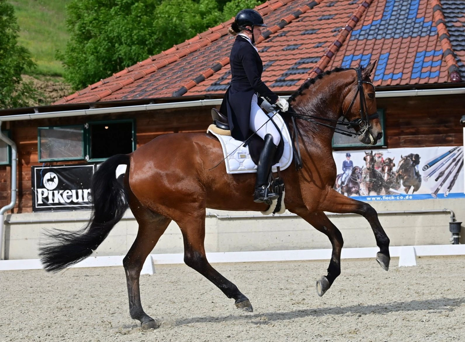 Reitsportzentrum Lichtenholz e. V. – Cornelia Dyhr