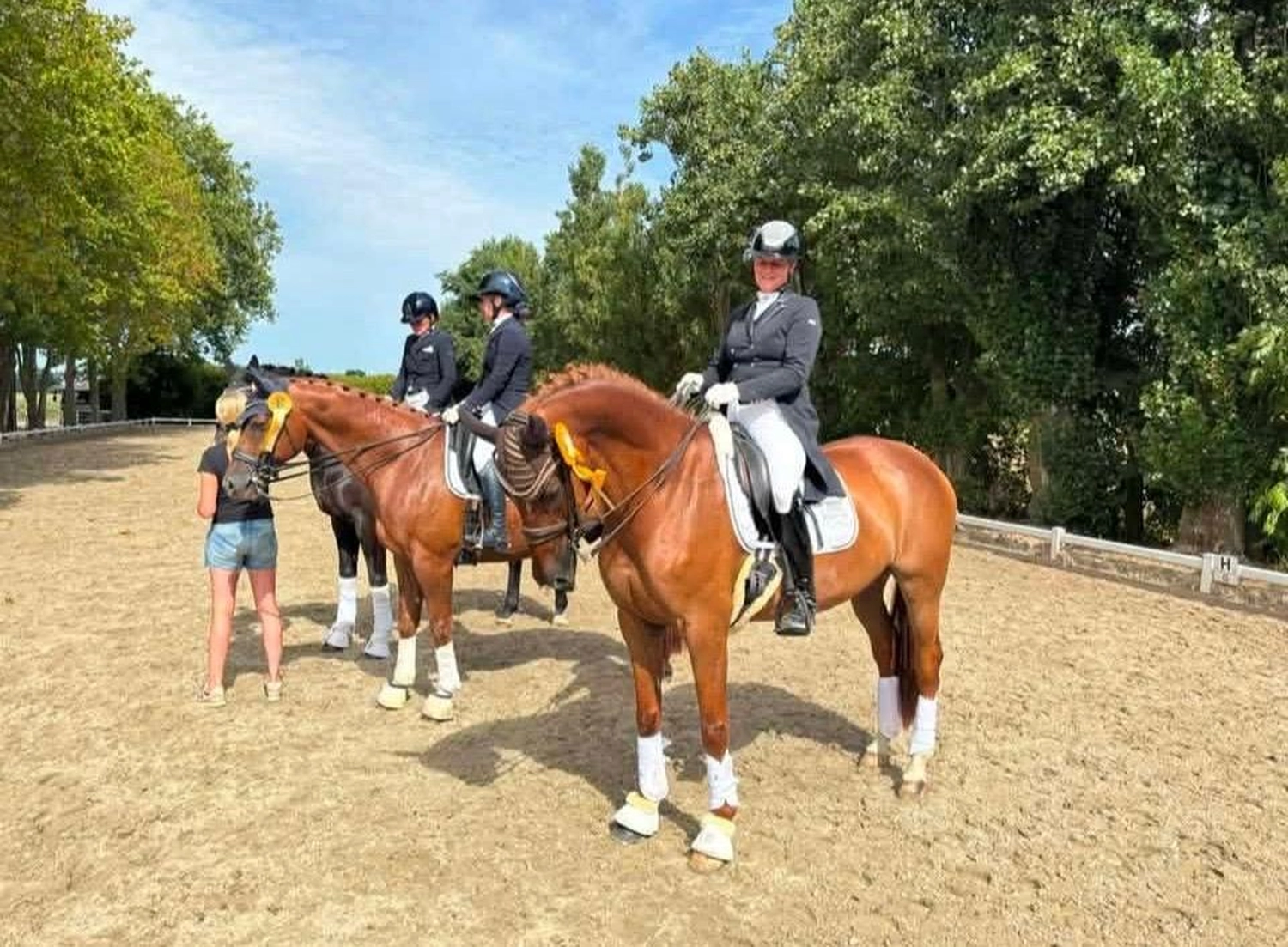 Reitsportzentrum Lichtenholz e. V. – Evening tournament