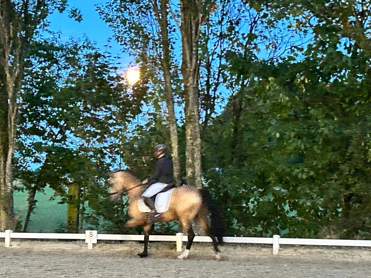 Reitsportzentrum Lichtenholz e. V. – Evening tournament