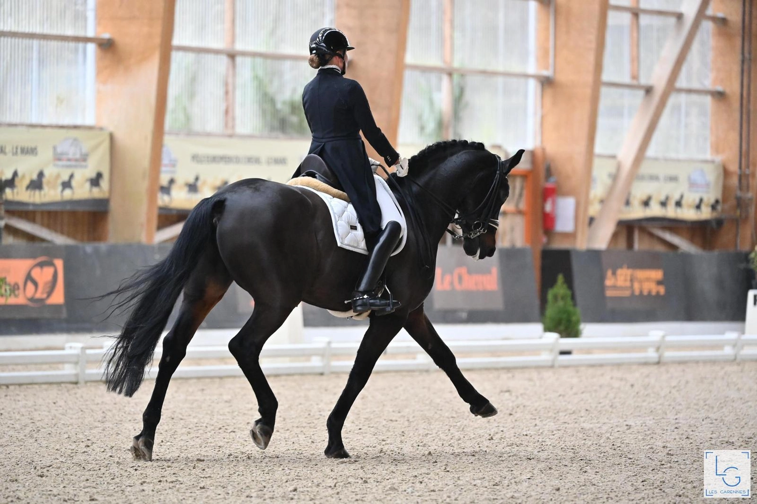 Reitsportzentrum Lichtenholz e. V. – Reitausbildung