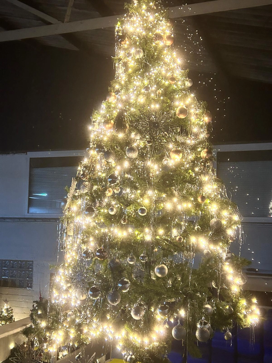 Reitsportzentrum Lichtenholz e. V. – Christmas tournament