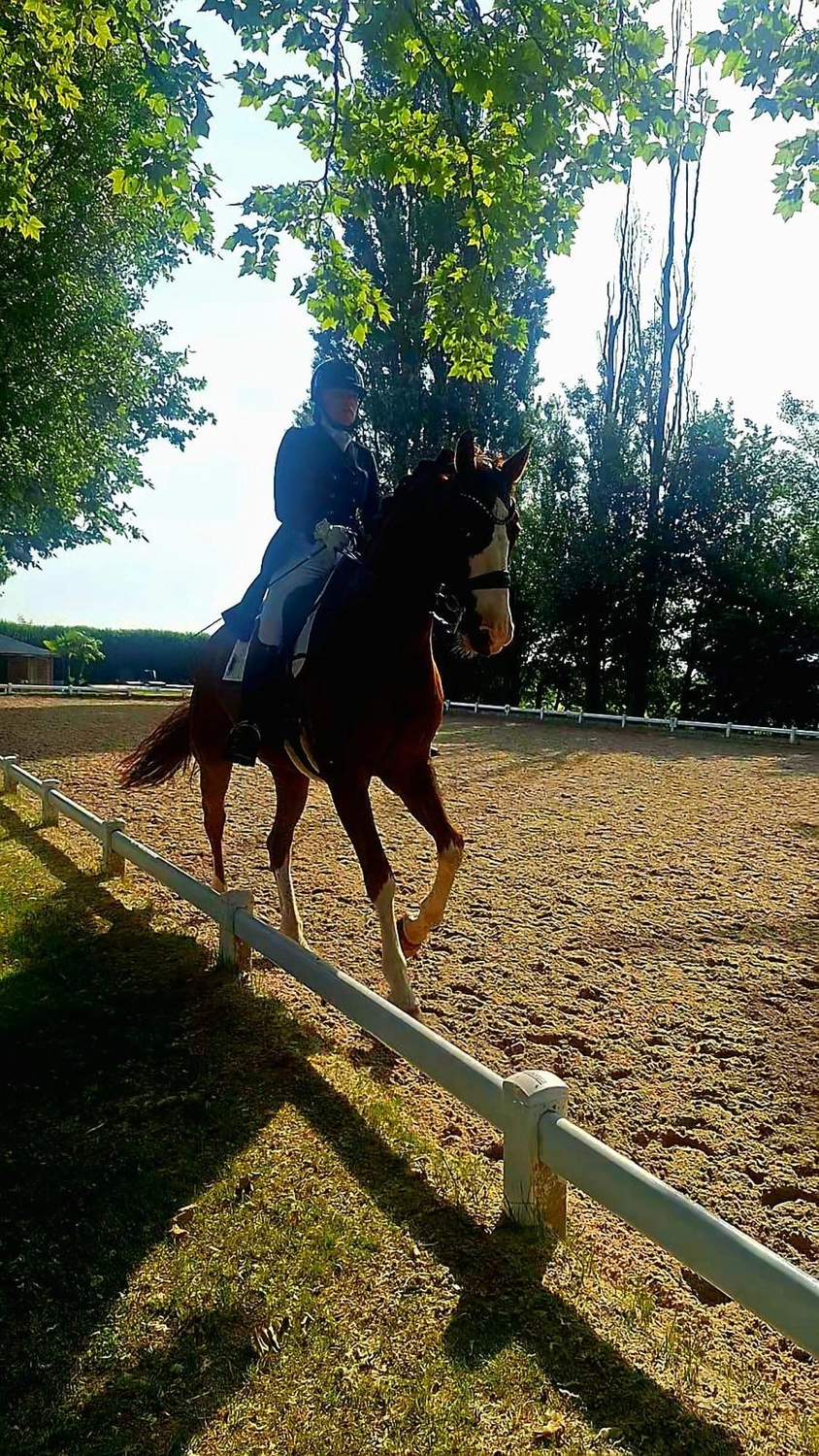 Reitsportzentrum Lichtenholz e. V. – Reiten