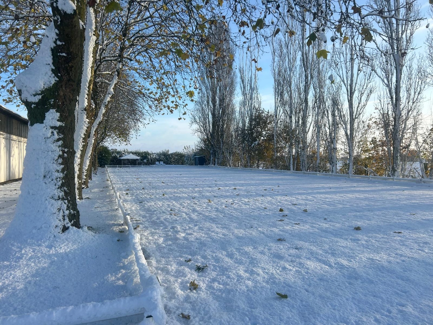 Reitsportzentrum Lichtenholz e. V. – Winter snow