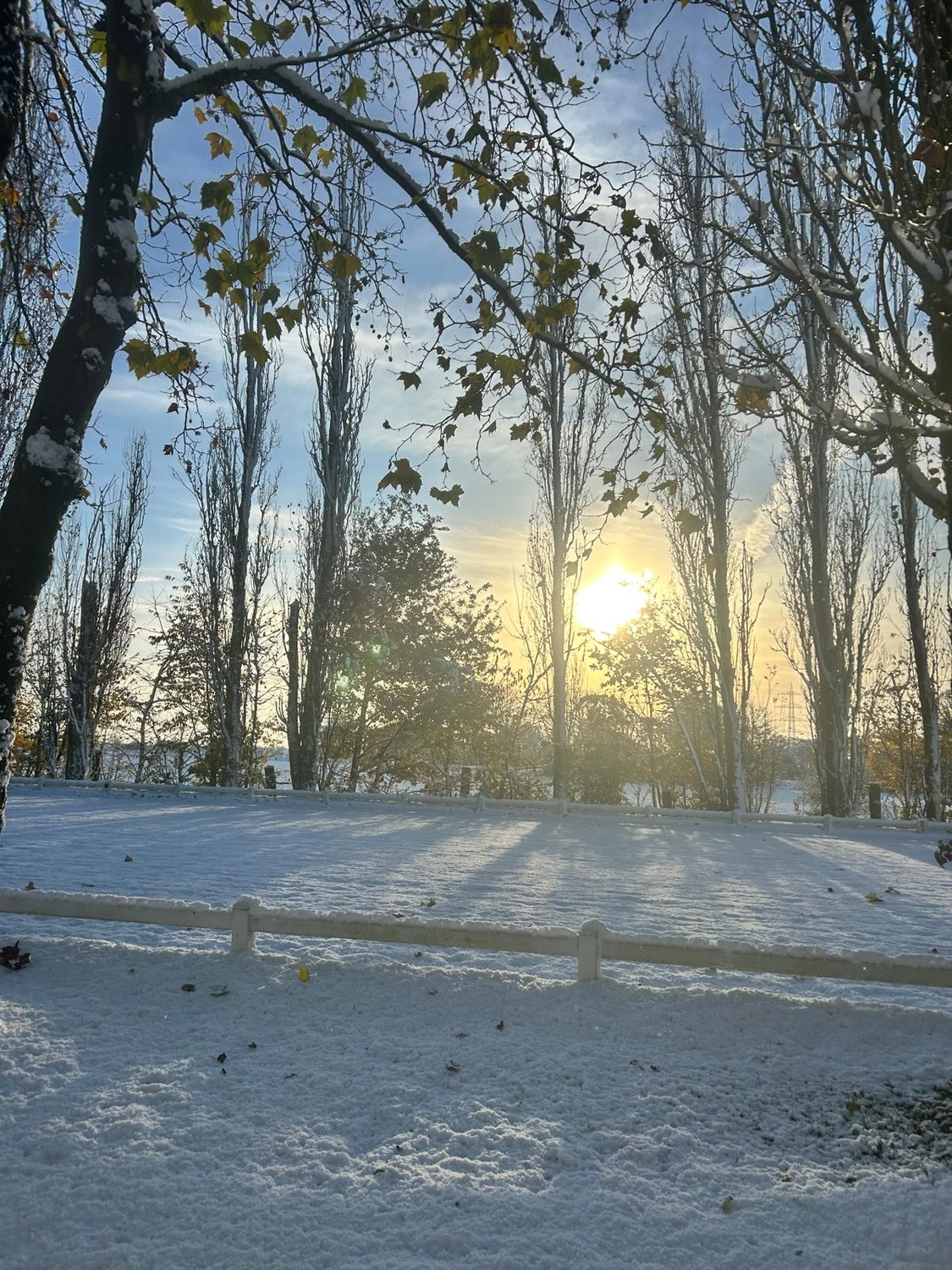 Reitsportzentrum Lichtenholz e. V. – Winter snow
