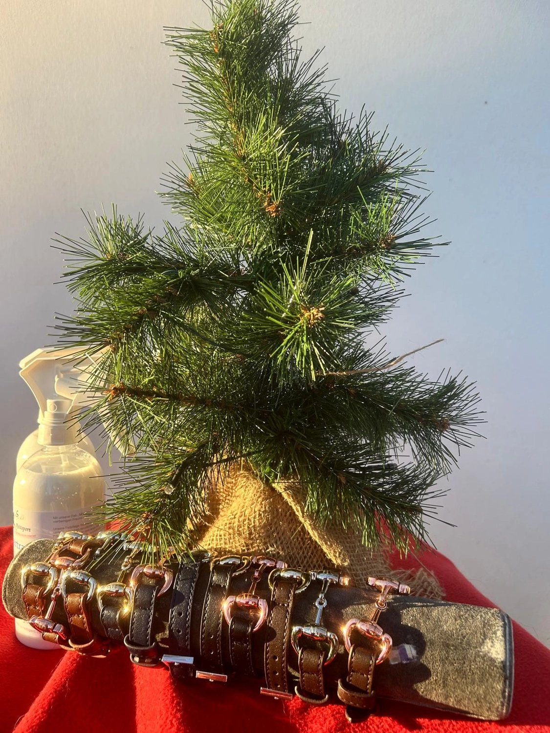 Reitsportzentrum Lichtenholz e. V. – Christmas tournament