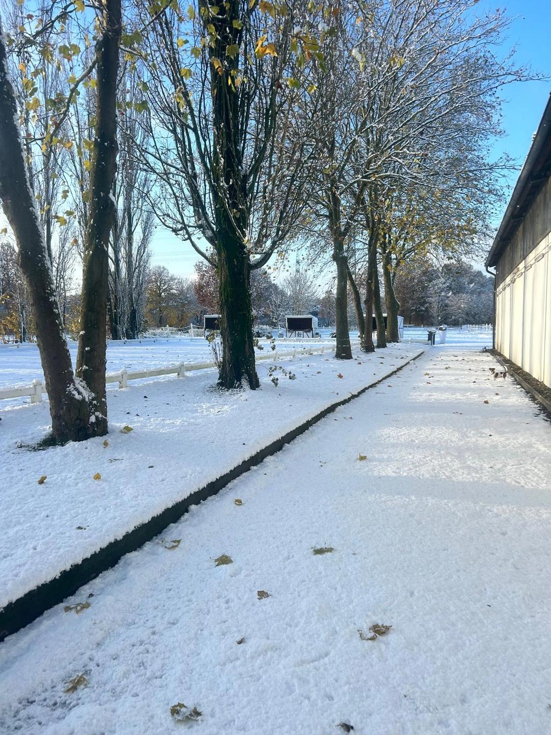 Reitsportzentrum Lichtenholz e. V. – Winter snow